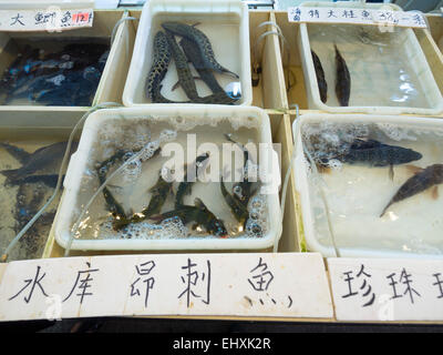 Mercato del pesce a Shanghai in Cina Foto Stock