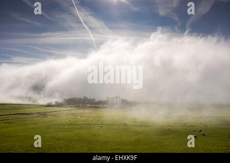 Nebbia di mattina allontanando dai campi nei pressi di Castleton in Peak District. Pecore al pascolo verde della terra. Foto Stock