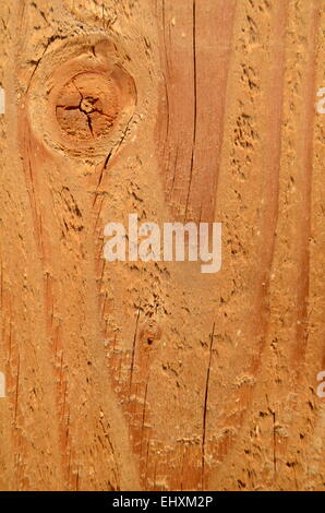 Texture di sfondo di un taglio fresco asse di legno Foto Stock