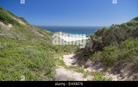 Un sentiero di sabbia i serpenti in basso verso una spiaggia deserta di Robberg riserva naturale vicino Plettenburg. Foto Stock