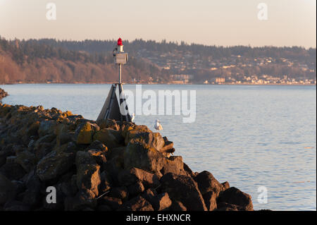 Due gabbiani su una roccia jetty al di sotto di un avvertimento di navigazione il faro a luce rotante al tramonto Foto Stock