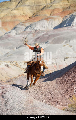 Stati Uniti d'America, Wyoming Big Horn Mountains, equitazione cowboy lazo oscillante Foto Stock