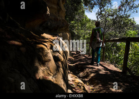 Cliff percorso in Whakatane, Nuova Zelanda. Foto Stock