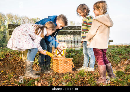 I bambini che cercano in un cestino picnic Foto Stock