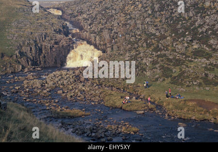 Calderone muso sul Fiume Tees. Cumbria / Co Durham Border Foto Stock