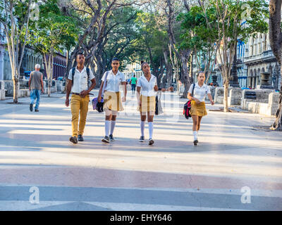 Quattro Havana gli studenti della scuola secondaria, tre ragazze ed un ragazzo, camminando insieme a scuola in Havana Vieja. Foto Stock