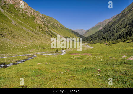 Vista pittoresca della verde valle di Tien-Shan mountain range in Kirghizistan Foto Stock