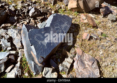 Antica pittogrammi incisi su roccia su Saimaluu Tash sito in Kirghizistan Foto Stock