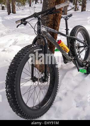 Fat bike, Breckenridge, Colorado. Foto Stock
