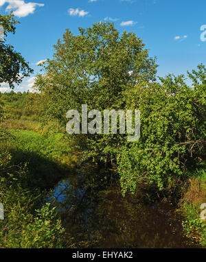 Il melo oltre il piccolo fiume. Foto Stock