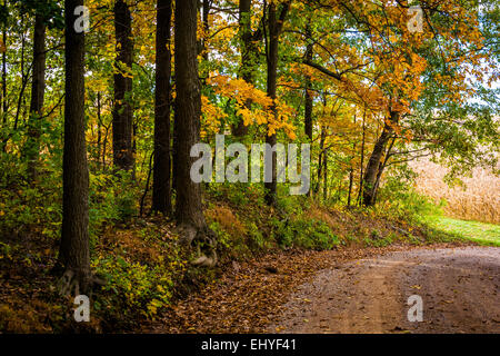 Colore di autunno lungo una strada sterrata in rurale della contea di York, Pennsylvania. Foto Stock