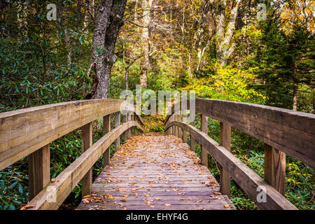 Colore di autunno e ponte sul sentiero Tanawha, lungo la Blue Ridge Parkway, North Carolina. Foto Stock