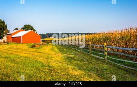 Fienile e un campo di mais in una fattoria rurale della contea di York, Pennsylvania. Foto Stock