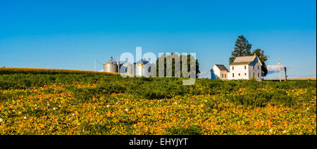 Agriturismo vicino a Stewartstown, Pennsylvania. Foto Stock