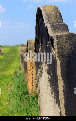 Vista panoramica di vecchie lapidi in un cimitero rurale con il focus sulla pietra in primo piano. Foto Stock