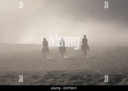 Silhouette di tre persone equitazione, Monte Bromo, East Java, Surabaya, Indonesia Foto Stock