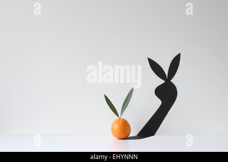 Un arancione con due foglie attaccato getta un' ombra di un coniglio Foto Stock
