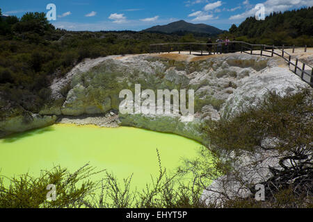 Devil's bagno, Wai O Tapu, calce naturale piscina verde, Isola del nord, Nuova Zelanda Foto Stock