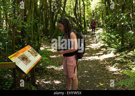 Zealandia giardini botanici, Wellington, Isola del nord, Nuova Zelanda Foto Stock