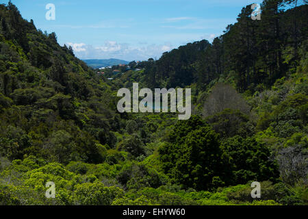 Zealandia giardini botanici, Wellington, Isola del nord, Nuova Zelanda Foto Stock