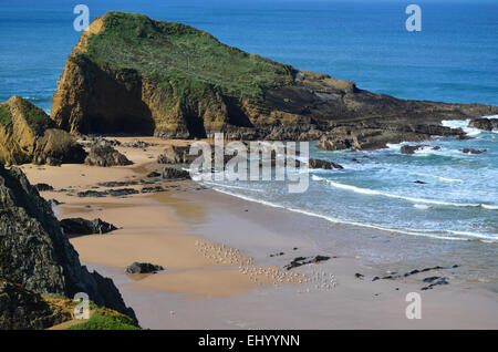 Il Portogallo, Europa, Atlantic Coast, zambujeira, odemira, Alentejo, scogliere, il mare, le onde, Bay, la spiaggia della sabbia, spiaggia, mare, bassa, ebb, Foto Stock