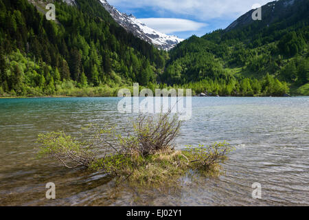 Lac de, Derborence, Svizzera, Europa, canton Vallese, lago di montagna, lago, Foto Stock