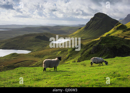 2, Vantage point, vista scogliera, rock, montagne, Gran Bretagna, Highland, highlands, sky, highland, isola, isola, Skye, Isola di S Foto Stock