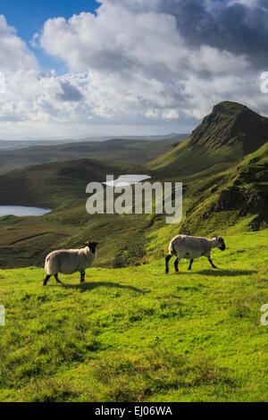 2, Vantage point, vista scogliera, rock, montagne, Gran Bretagna, Highland, highlands, sky, highland, isola, isola, Skye, Isola di S Foto Stock