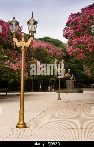 Argentina, Buenos Aires, Parque del Retiro, Plaza San Martin generale, quadrato foderato con il filo interdentale in seta Tree, Ceiba speciosa, Chorisia speciosa. Foto Stock