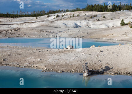 Bacinella in porcellana, in Norris Geyser Basin, il Parco Nazionale di Yellowstone, Wyomin, Stati Uniti d'America. Foto Stock