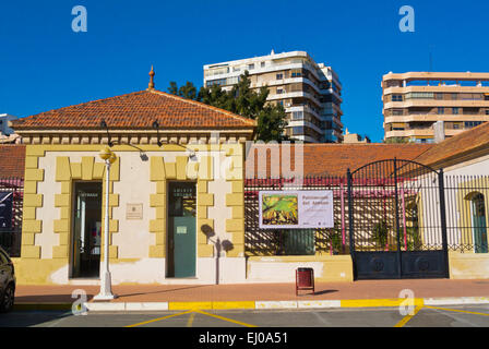 Lonja del Pescado, ex mercato del pesce in scatola, spazi espositivi, porto, Alicante, Alacant, Costa Blanca, Spagna Foto Stock