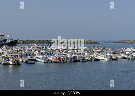 Medio Oriente, vicino Oriente, Emirati Arabi Uniti, Emirati arabi uniti, Sharjah, Kalba, Kalba Cornich, Porto, porto, barche, auto, scenario, mare panor Foto Stock