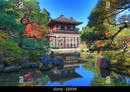 Eredità di Mondo, Ginkaku-ji, Giappone, Asia, Kansai, Kyoto, Giapponese, Paesaggio, architettura, colorato, caduta, giardino, house, momiji Foto Stock