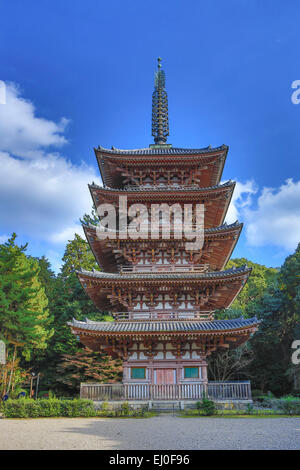 Daigo-ji, Daigoji, Giappone, Asia, Kansai, Kyoto, Giapponese, Paesaggio, architettura, colorato, caduta, nessun popolo, a pagoda, skyl Foto Stock