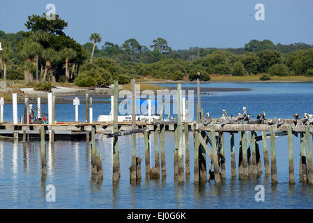 Stati Uniti d'America, Florida, Levy County, Cedar Key Foto Stock