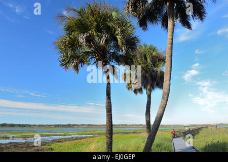 Stati Uniti d'America, Florida, Myakka River State Park Foto Stock