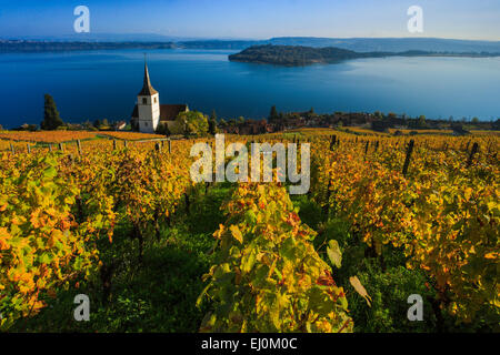 Alpi, Alpino, panorama, montagne, panorama di montagna, Canton Berna, il Lago di Biel, autunno, colori, chiesa, Ligerz, panorama, vigneto, Foto Stock