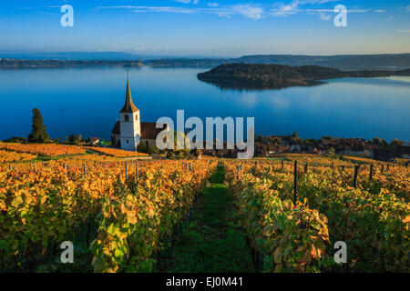 Alpi, Alpino, panorama, montagne, panorama di montagna, Canton Berna, il Lago di Biel, autunno, colori, chiesa, Ligerz, panorama, vigneto, Foto Stock