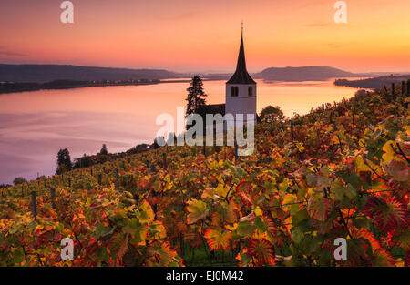 Di sera, al tramonto, atmosfera serale, Alpi, panorama, montagne, panorama di montagna, Canton Berna, il Lago di Biel, autunno, colori, chiesa, Ligerz Foto Stock