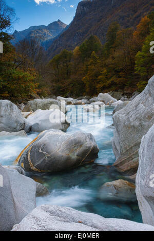 Albero, movimento, faggio, foresta di faggio, alberi, Cliff, rock, scogliera, fiume, il flusso, la Verzasca, riverbed autunno, colori autunno, fol Foto Stock