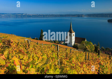 Alpi, Alpino, panorama, montagne, panorama di montagna, Canton Berna, il Lago di Biel, autunno, colori, chiesa, Ligerz, panorama, vigneto, Foto Stock