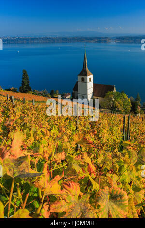 Alpi, Alpino, panorama, montagne, panorama di montagna, Canton Berna, il Lago di Biel, autunno, colori, chiesa, Ligerz, panorama, vigneto, Foto Stock