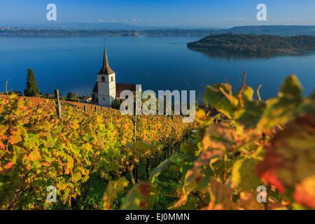 Alpi, Alpino, panorama, montagne, panorama di montagna, Canton Berna, Peter island, Peter island, il Lago di Biel, autunno, colori, churc Foto Stock