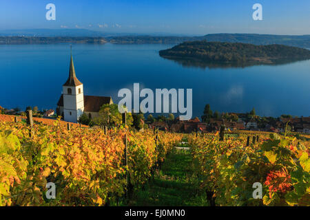 Alpi, Alpino, panorama, montagne, panorama di montagna, Canton Berna, Peter island, Peter island, il Lago di Biel, autunno, colori, churc Foto Stock