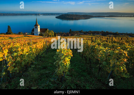 Alpi, Alpino, panorama, montagne, panorama di montagna, Canton Berna, Peter island, Peter island, il Lago di Biel, autunno, colori, churc Foto Stock