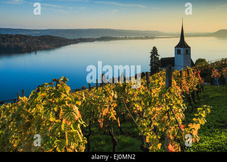 Alpi, Alpino, panorama, montagne, panorama di montagna, Canton Berna, Peter island, Peter island, il Lago di Biel, autunno, colori, churc Foto Stock