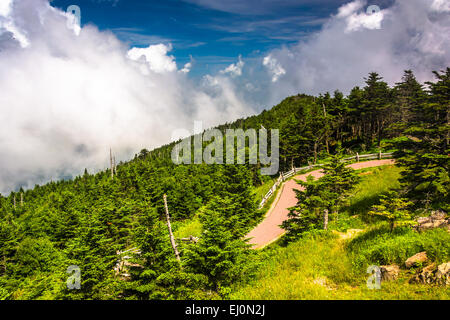 Vista dalla torre di osservazione a Mount Mitchell, North Carolina. Foto Stock