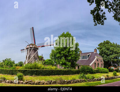 Paesi Bassi, Olanda, Europa, Noord Sleen, Drenthe, mulino a vento, Campo, Prato, estate, Alberdina Foto Stock