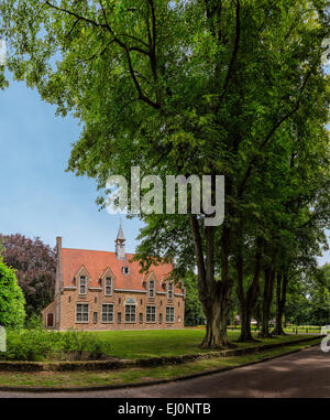 Paesi Bassi, Olanda, Europa Sleen, Drenthe, città, house mansion, alberi, estate, Foto Stock