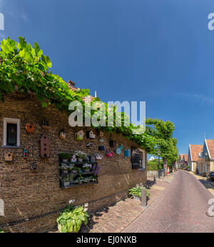 Paesi Bassi, Olanda, Europa, Oosterend, Texel, Noord-Holland, villaggio, case, vecchio nido di uccelli-box, Foto Stock